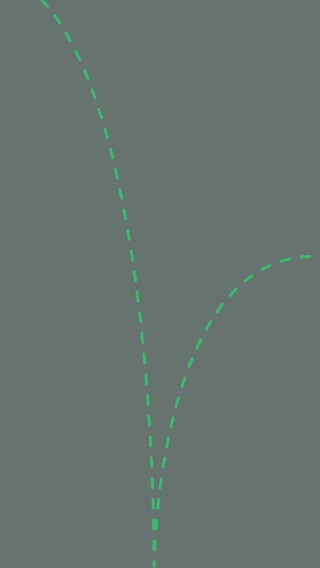 iPhone Screenshot 2