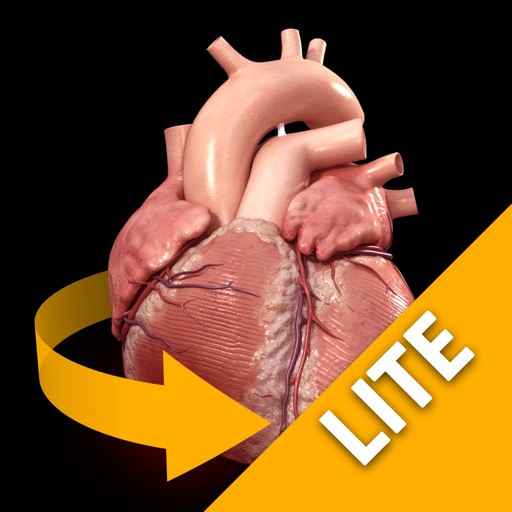 心臓解剖 Heart 3D Atlas of Anatomy Preview