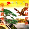 公司起名