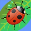 Kids games for Babies