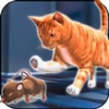 Rat Vs Cat Simulator 2016: Best Simulation of Mouse and Rat Trap Challenge! norway rat 