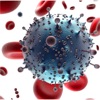 Infectious Diseases Database