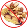 Nuts & Peanuts Allergy Translation Travel Card government travel card 