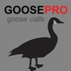 Canada Goose Calls + Goose Sounds for Hunting BLUETOOTH COMPATIBLE canada goose 