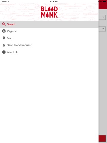 iPad Screenshot 2