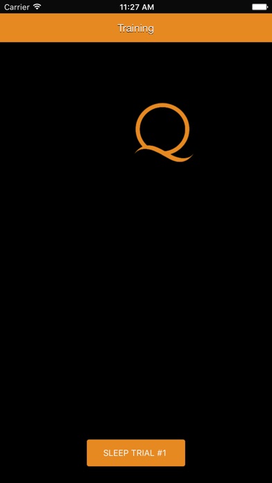 iPhone Screenshot 2