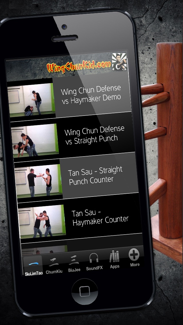 Wing Chun Complete - ... screenshot1