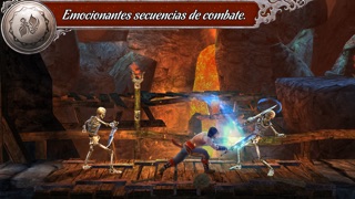 Prince of Persia® The Shadow and the Flame