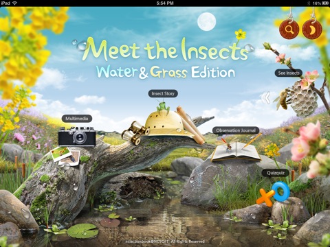 iPad Screenshot 1