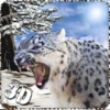 Snow Leopard Survival Attack - Wild Siberian Beast Hunting Attack Simulation 2016 sweden attack 