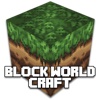 Block World Craft Pro