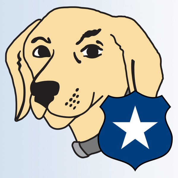 k9 web protection