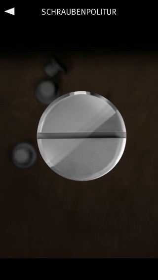 iPhone Screenshot 4