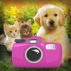 Catch Your Eyes Camera