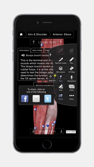 iPhone Screenshot 5