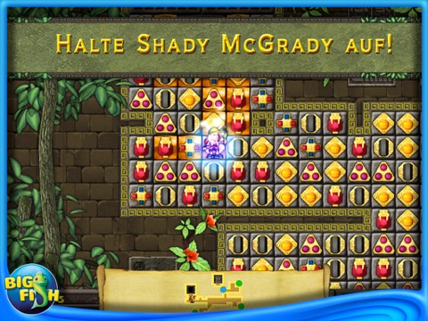 iPad Screenshot 3