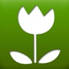 Wiesenblumen