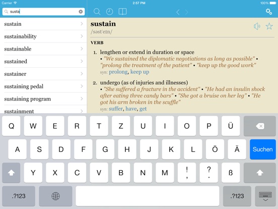 iPad Screenshot 2