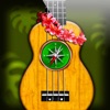 Kompass der Ukulele Akkorde - Uke Griffe finden und lernen !