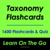 Taxonomy Flashcard taxonomy 