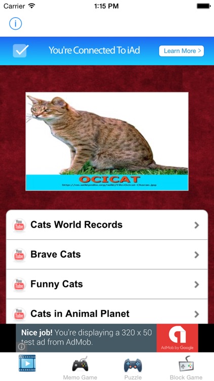 learn english via cats kittens names games for kids lite by learn english via cats kittens names games for kids lite screenshot 3
