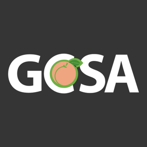 Georgia Charter Schools Association