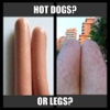 Hot Dogs Or Legs gourmet hot dogs 