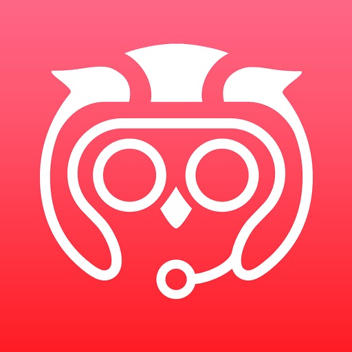 Co-Pilot RT — Rally sport app powered by Hudway
