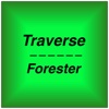 Traverse - Forester chevrolet traverse 