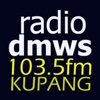 DMWS nusa tenggara timur indonesia 