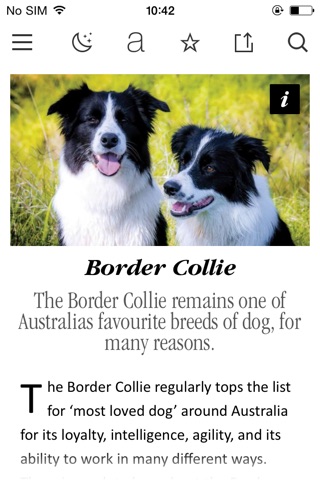 Скриншот из Australian Dogs & Pets