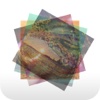Nature Blend - Mix, overlap and alter your photos with nature images nature field sketching 