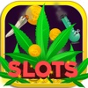 Weed Marijuana Casino Slots - Free Marijuana Gambling Game legal marijuana states 
