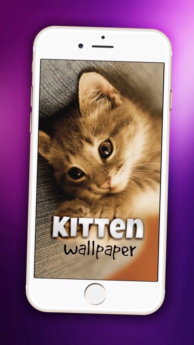 かわいい子猫の壁紙 かわいい赤ちゃんペット ロック画面 テーマと 愛らしいです キティ ネコ 背景 Iphoneアプリ Applion