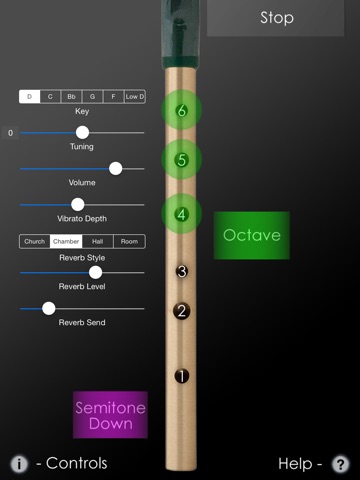 iPad Screenshot 1