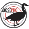 Goose Hunting Calls-Goose Sounds Goose Call App canada goose 