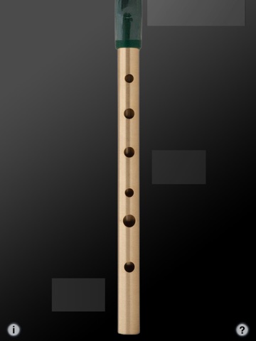 iPad Screenshot 4