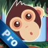 Temple Monkey PRO - Runs In The Monkey Temple temple