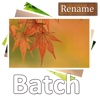 Acc Image Batch Rename