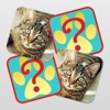 Animals Twins - Match the animals and hear their sounds animals and their sounds 