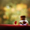 Creative Wallpapers HD: Quotes Backgrounds with Art Pictures Reference