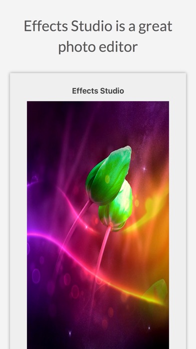 ss1