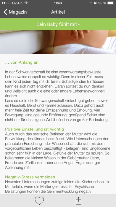 iPhone Screenshot 2