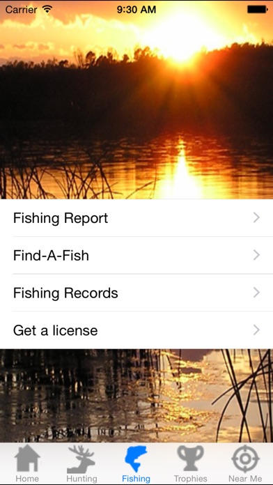 iPhone Screenshot 2