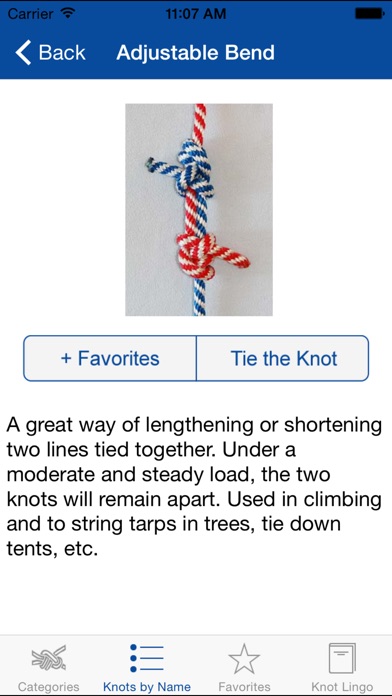 iPhone Screenshot 2