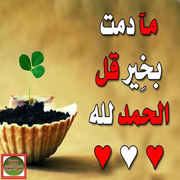 Download رسائل اسلامية مصورة 1.0 Apk For Free On Your