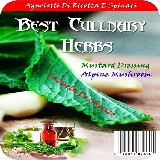 Best Culinary Herbs - Recipe Guide