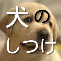 Telecharger 犬のしつけ方入門 クイズで納得の無料アプリ Pour Iphone Sur L App Store Style De Vie