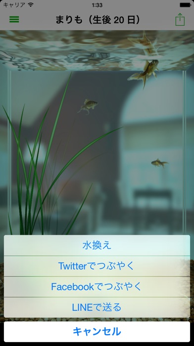 iPhone スクリーンショット 2