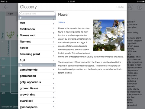 iPad Screenshot 4